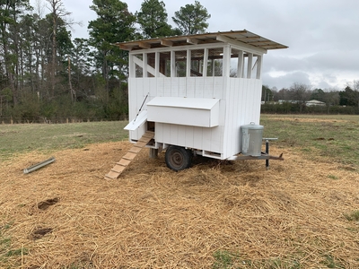 rsz_integrating_eggmobile_into_bale_grazing.jpg
